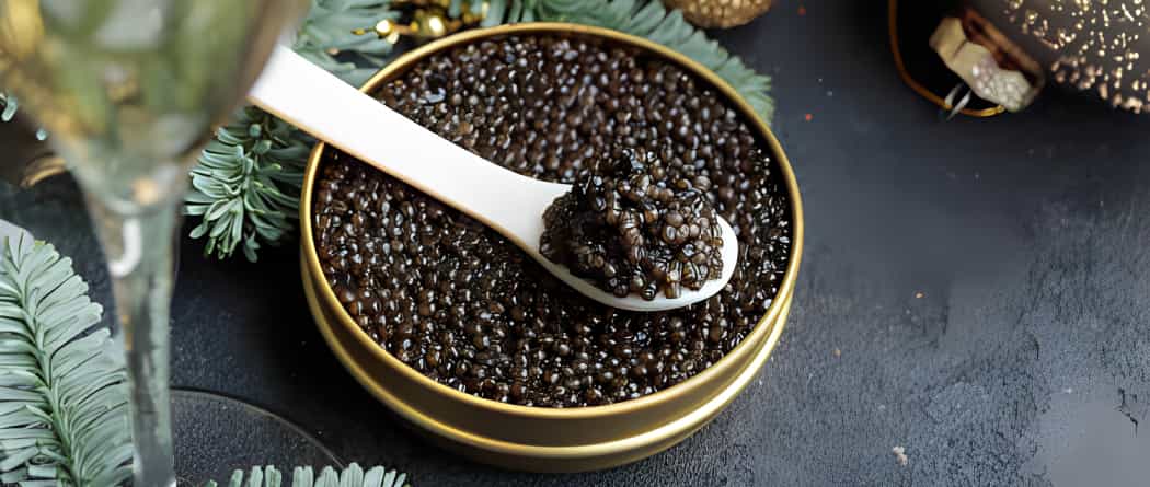 تصویر 2 از خرید خاویار سیاه 125 گرمی + قیمت فروش استثنایی